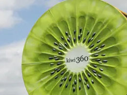 Te Puke kiwifruit statue