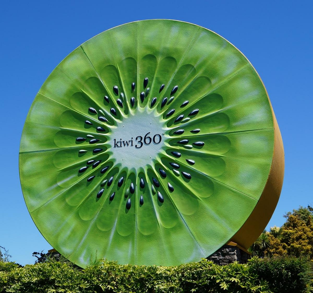 Kiwifruit Capital