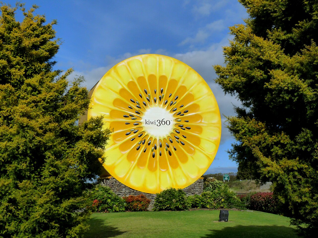 kiwifruit capital