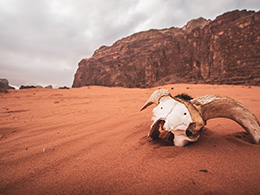 Desert Dunes