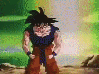 ssj.jpg