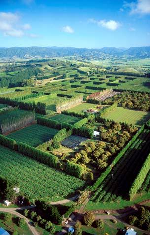 Te Puke region