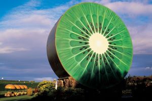 Kiwifruit Capital