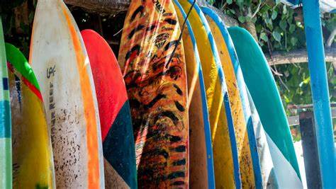 person choosing a surfboard