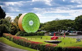 Kiwifruit Capital