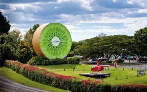 Kiwifruit Capital