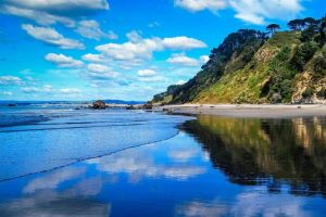 Te Puke main street