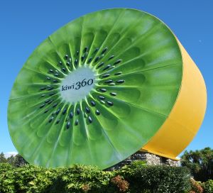 giant kiwifruit 360