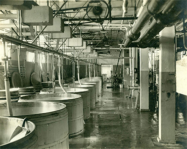 Swiss Cheese Factory