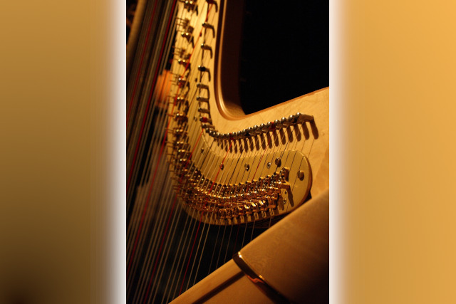 Harp