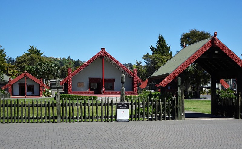 Spider Man Day - 1st August