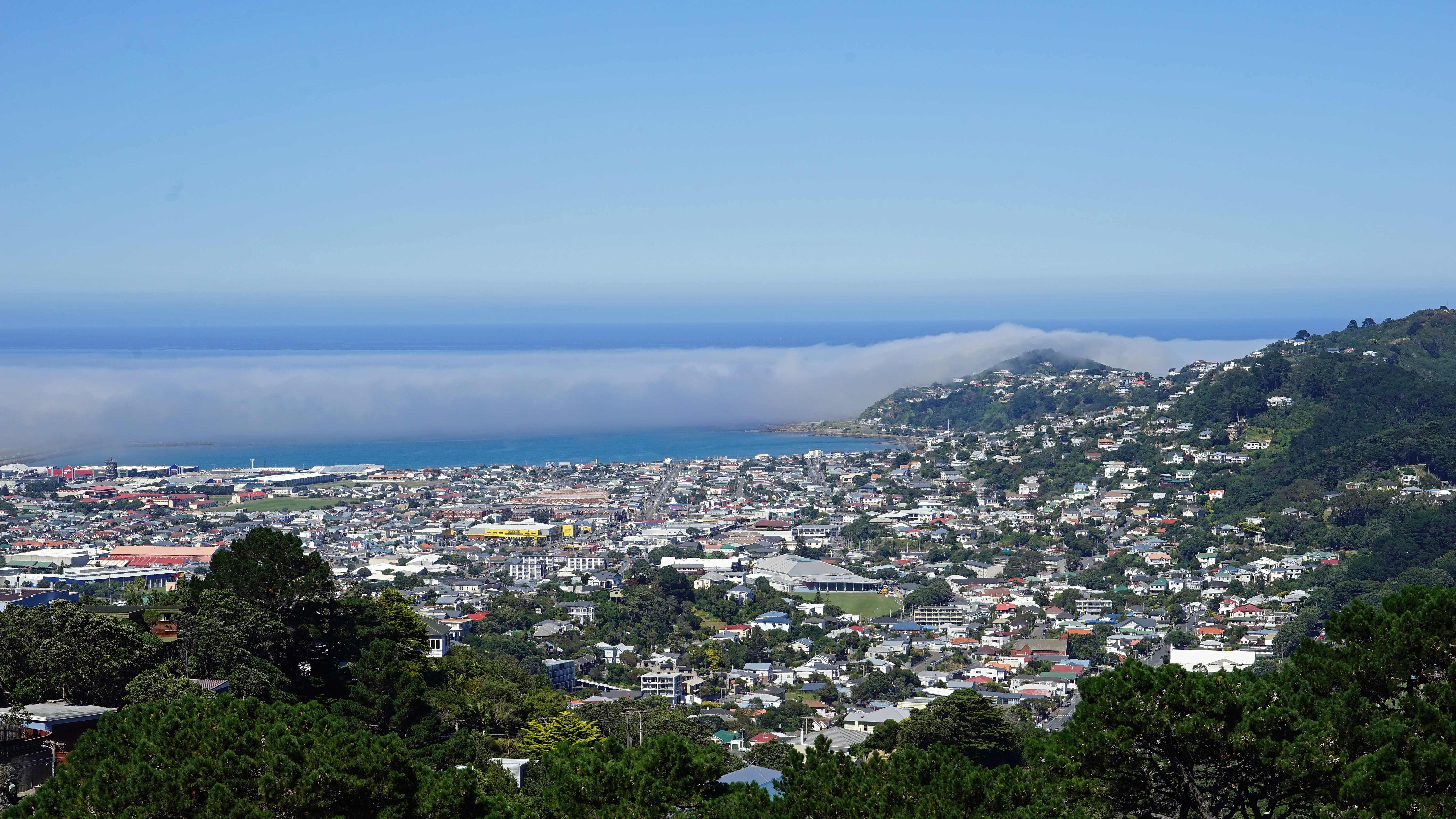 Wellington