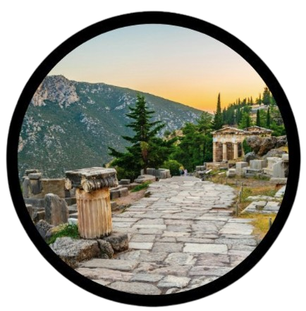 Spider Man Day - 1st August