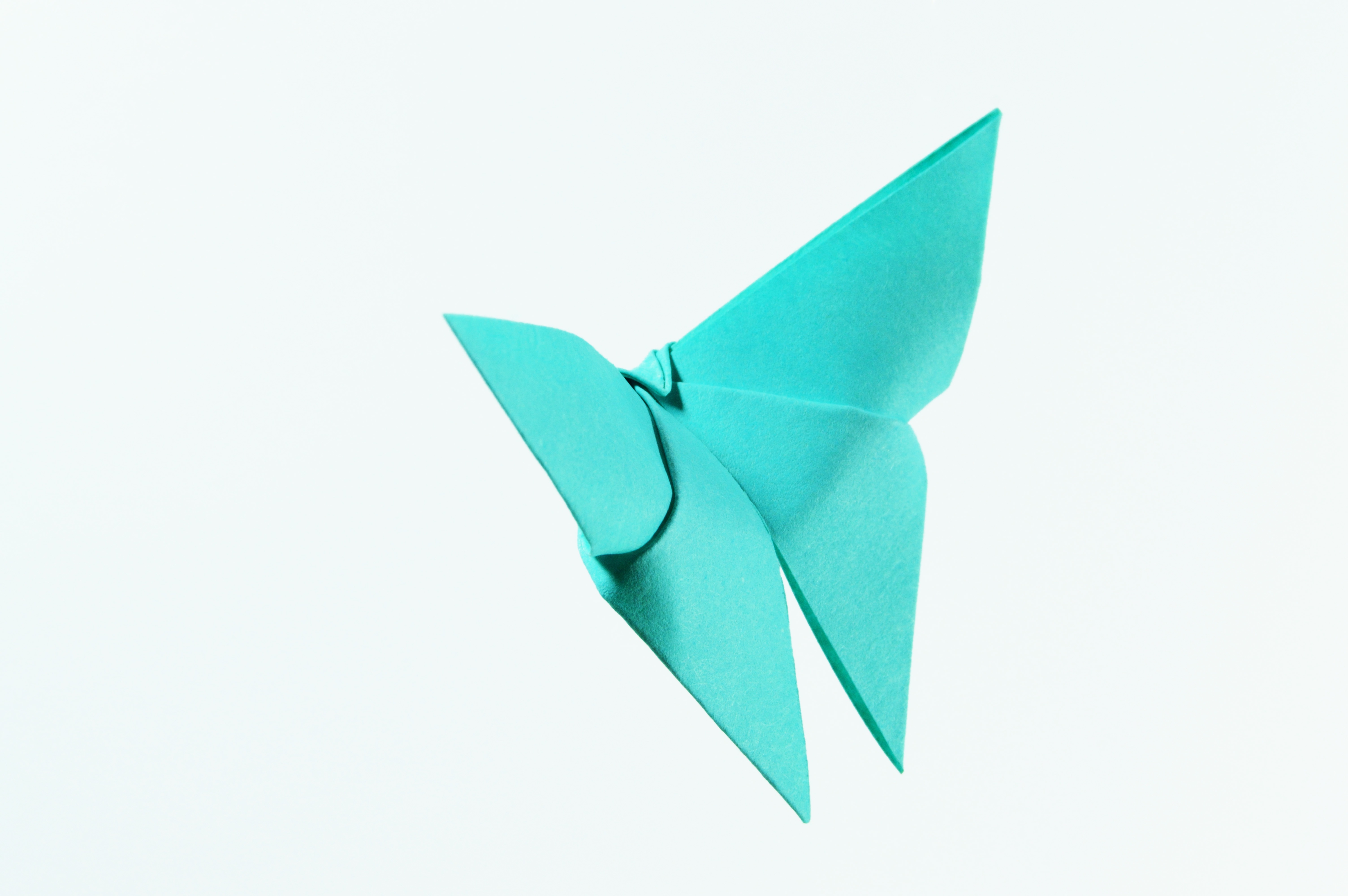 Origami Butterfly photograph