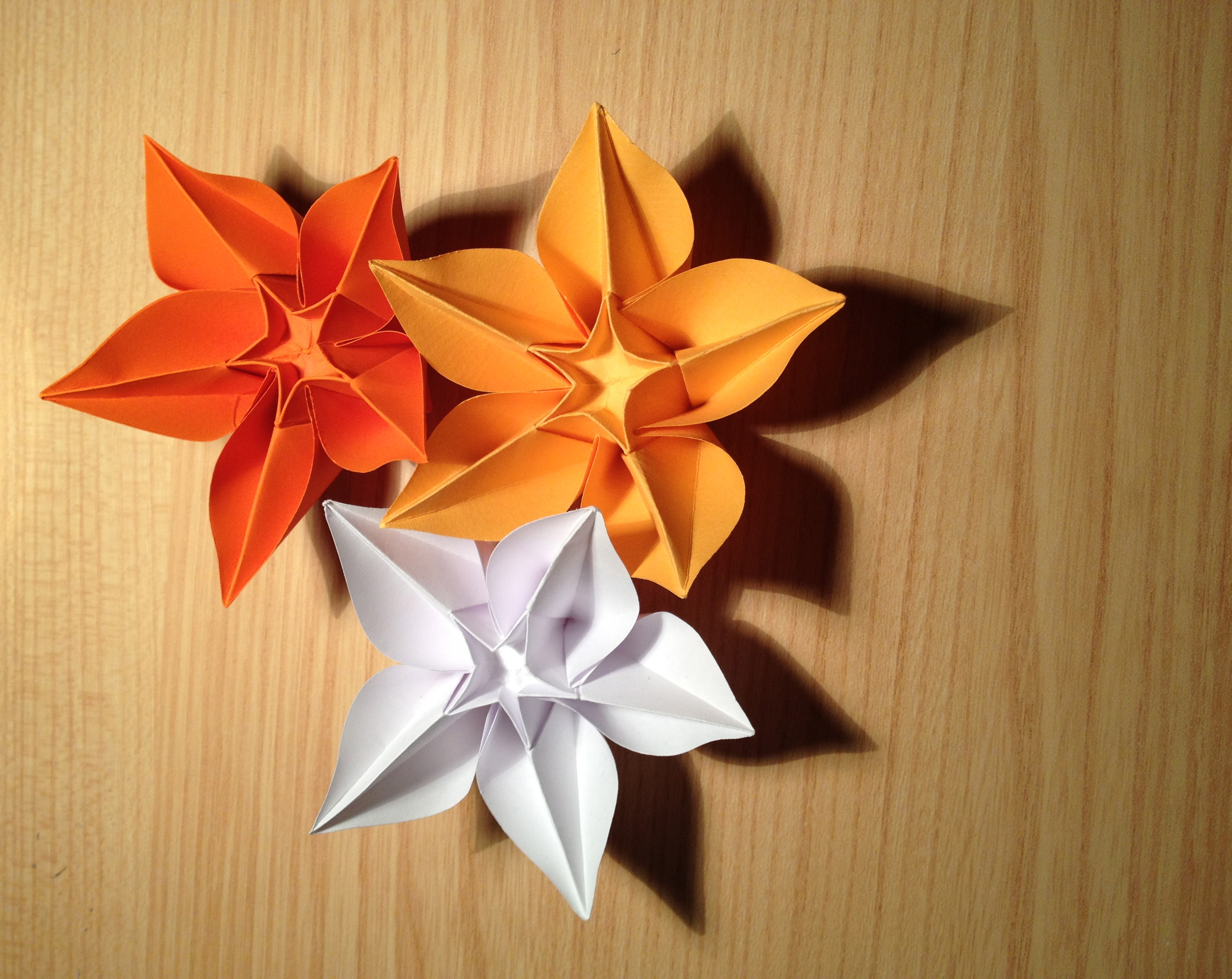 Origami Carambola Flower photograph