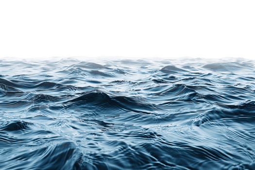 Ocean