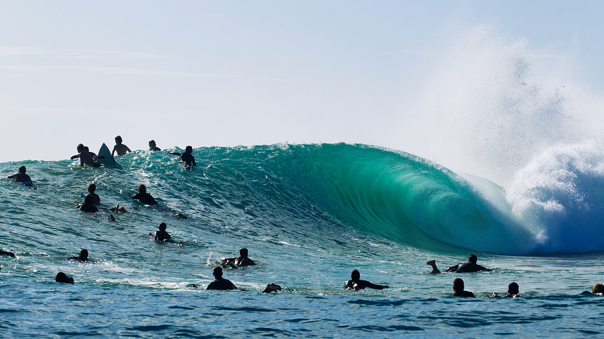 Spider Man Day - 1st August