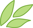Green leaves
