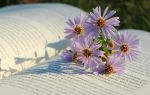 flower image