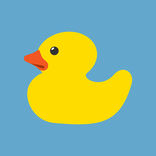 duck
