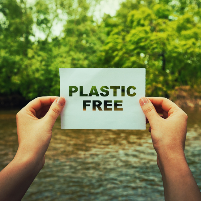 Plastic-Free Alternatives