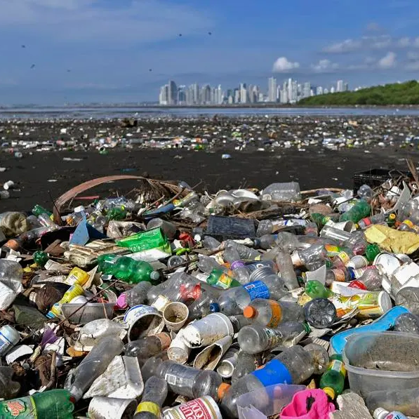 plastic pollution
