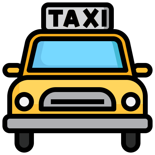 Taxi Driver