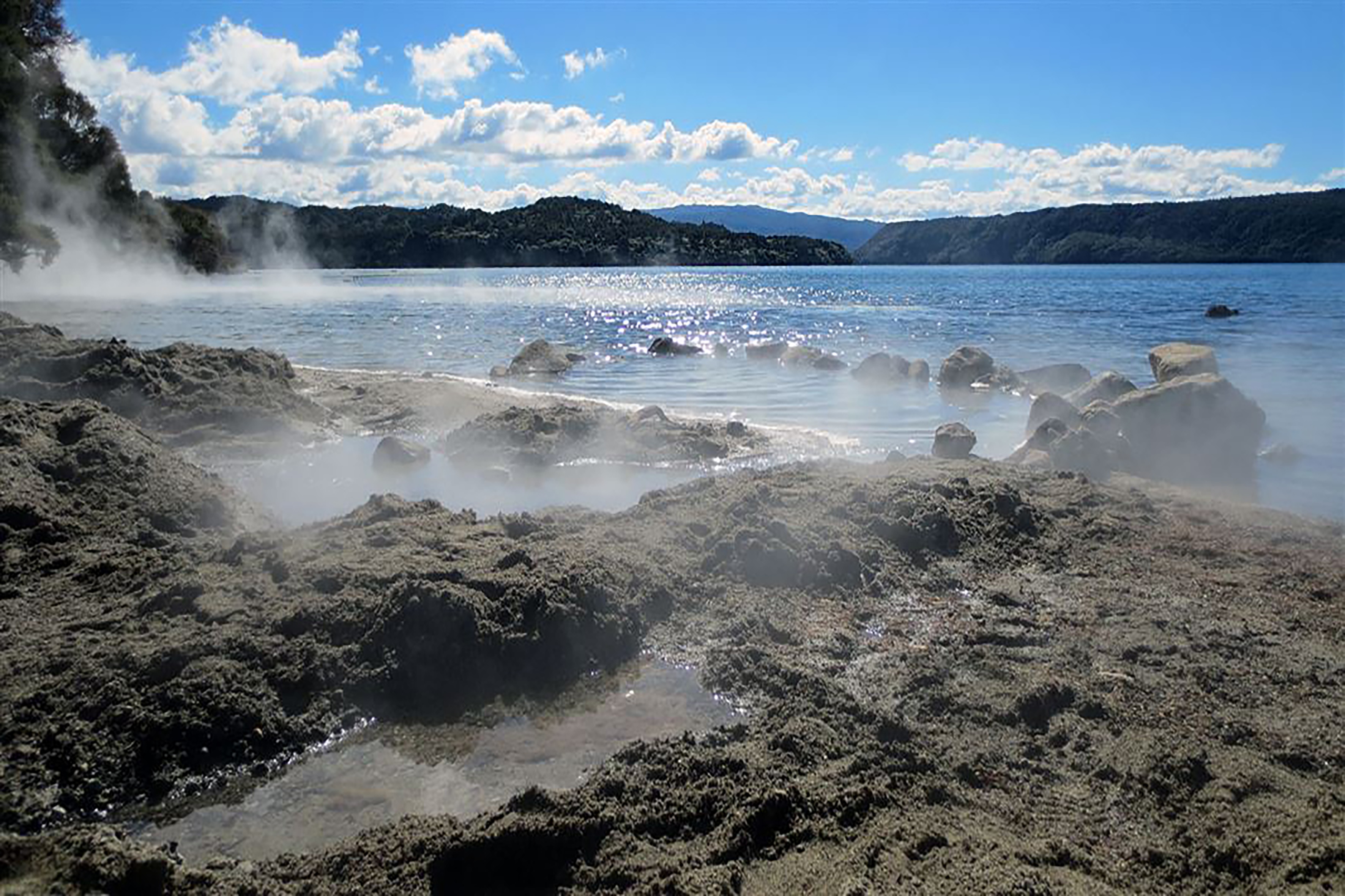 Image of Hot Water beach in New Zealand