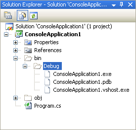 The Debug item in the Solution Explorer