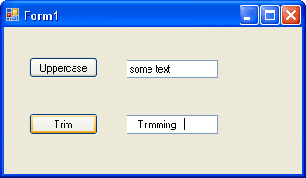 A new text box on the form