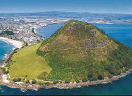 A picture taken from a tourist plane of the top of the mount